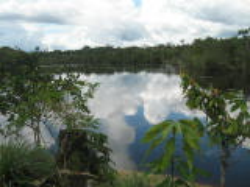 Fazenda georreferenciada no Amazonas p/garantias bancárias, garantias de licitações, caução, preservação, servidão, manejo florestal, gás natural 